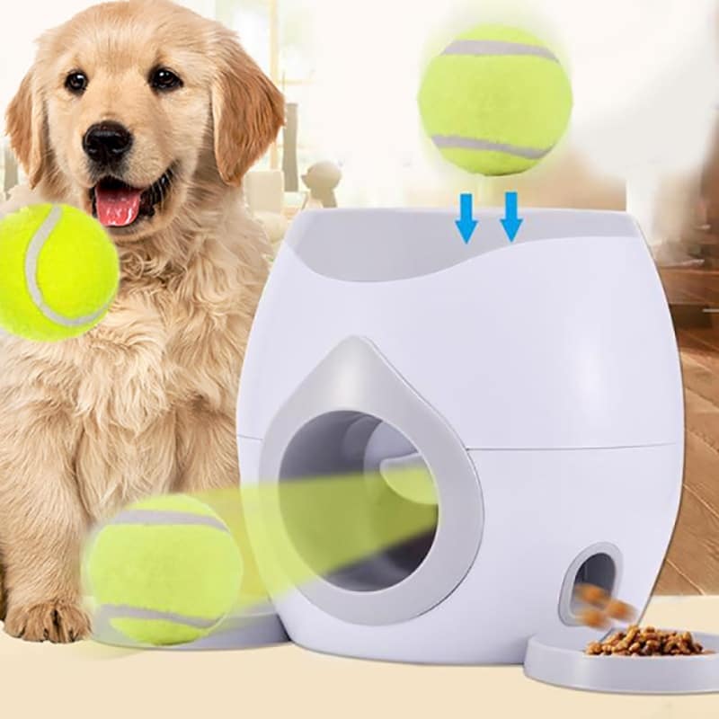 Pet Ball Launcher - Invention Assistant